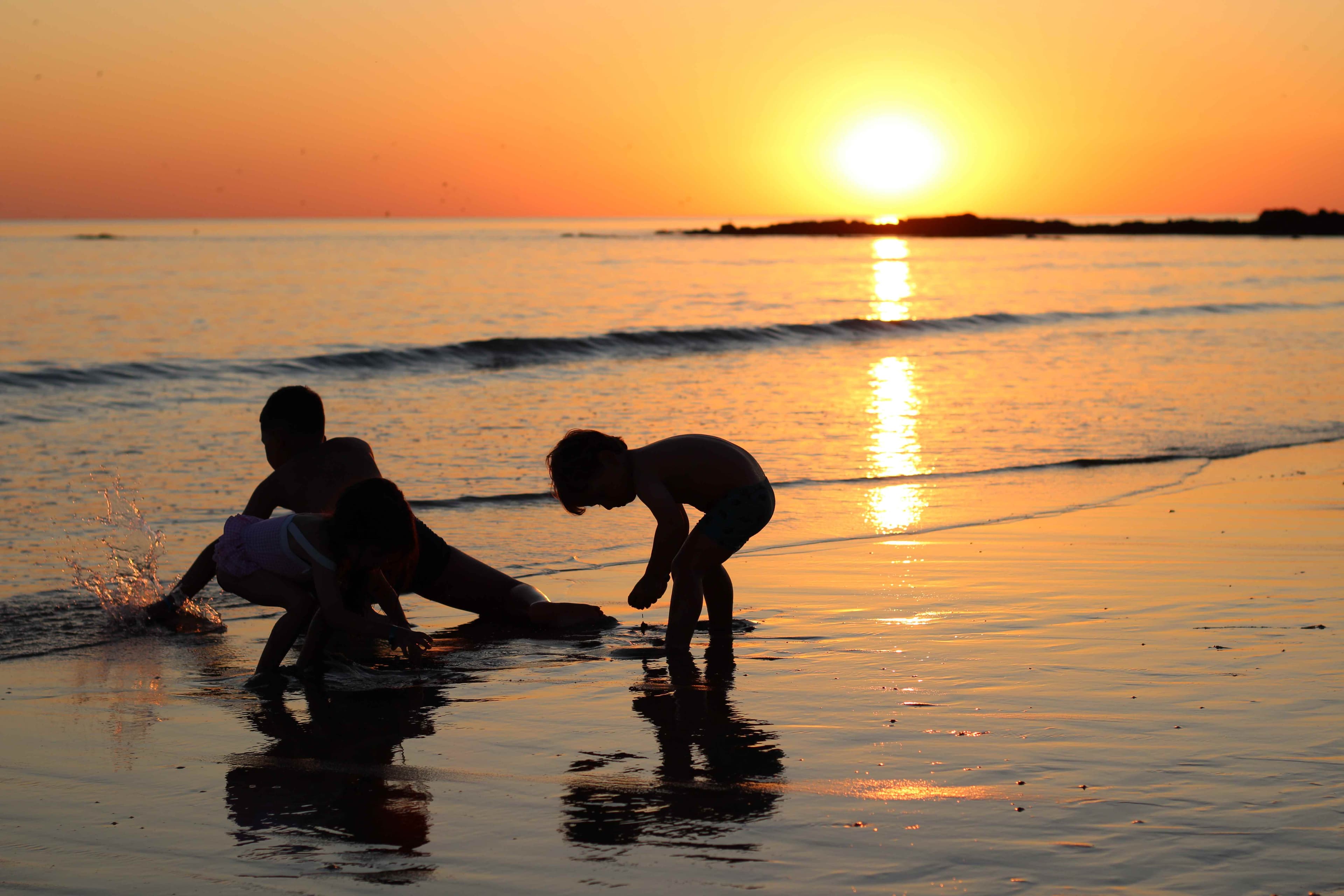 Photographe professionnel